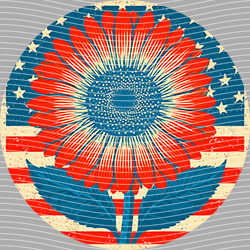 USA-MG 3842